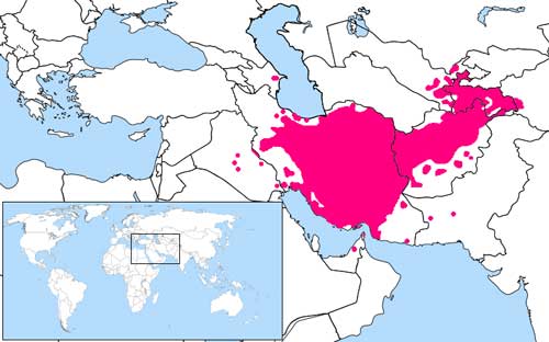 persian carpets
