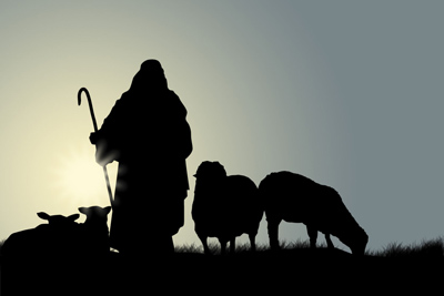 Jesus Shepherd